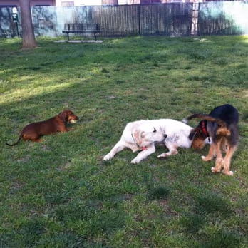 Bannon Creek Dog Park photo 2